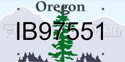 IB97551 Oregon License Plate