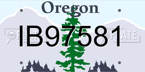IB97581 Oregon License Plate