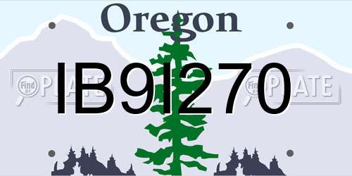 IB9I270 Oregon License Plate