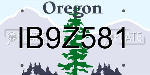 IB9Z581 Oregon License Plate
