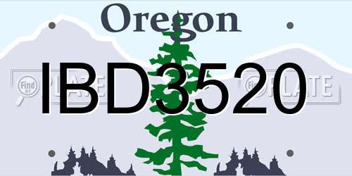 IBD3520 Oregon License Plate