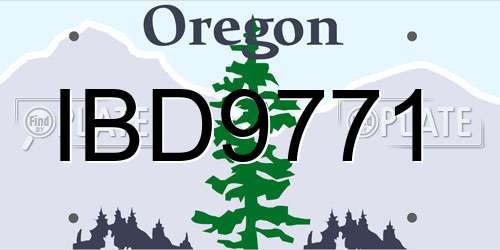 IBD9771 Oregon License Plate