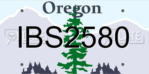IBS2580 Oregon License Plate