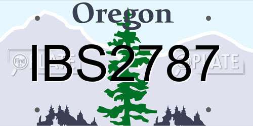 IBS2787 Oregon License Plate