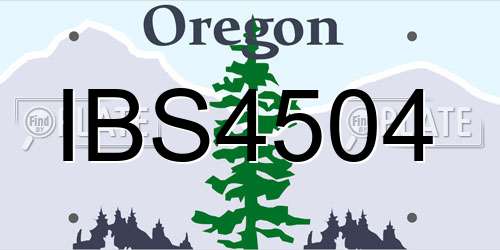 IBS4504 Oregon License Plate