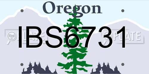 IBS6731 Oregon License Plate
