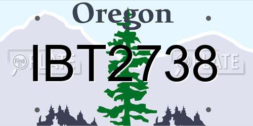 IBT2738 Oregon License Plate