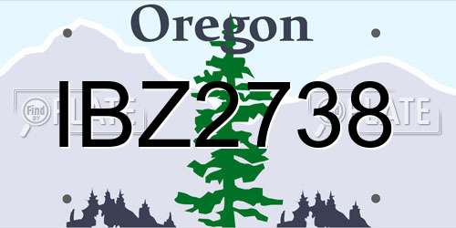 IBZ2738 Oregon License Plate