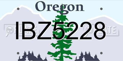 IBZ5228 Oregon License Plate