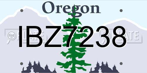 IBZ7238 Oregon License Plate