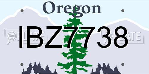 IBZ7738 Oregon License Plate