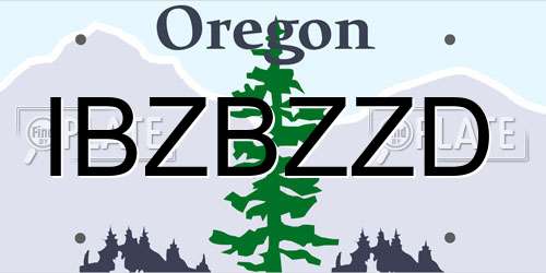 IBZBZZD Oregon License Plate