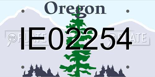 IE02254 Oregon License Plate