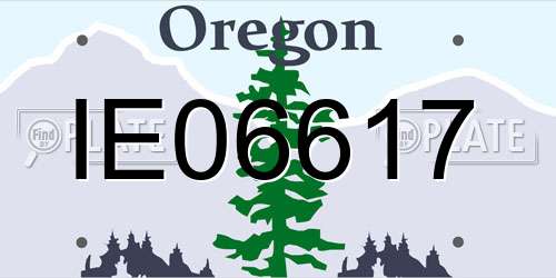IE06617 Oregon License Plate