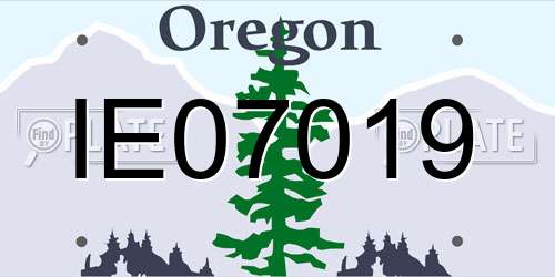 IE07019 Oregon License Plate