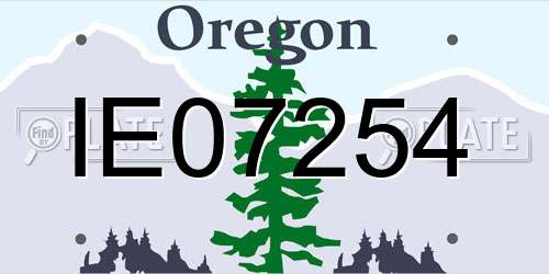 IE07254 Oregon License Plate