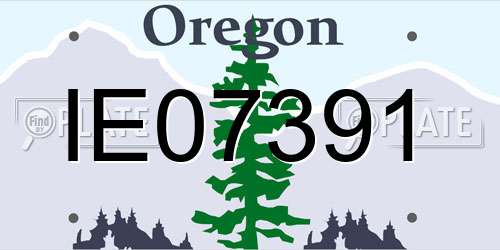 IE07391 Oregon License Plate