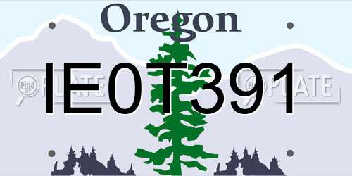 IE0T391 Oregon License Plate