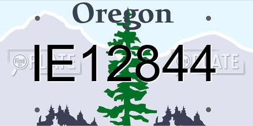 IE12844 Oregon License Plate