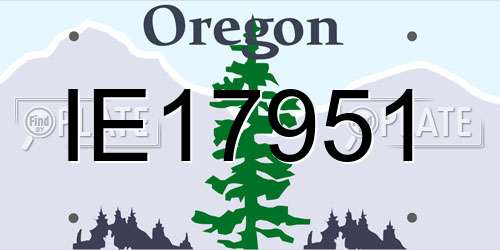 IE17951 Oregon License Plate