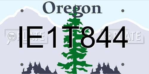 IE1T844 Oregon License Plate