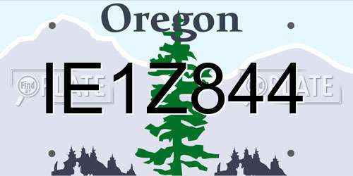 IE1Z844 Oregon License Plate