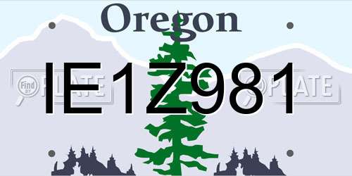IE1Z981 Oregon License Plate