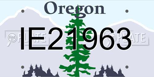 IE21963 Oregon License Plate