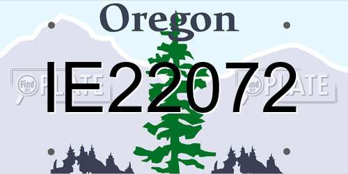 IE22072 Oregon License Plate