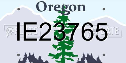 IE23765 Oregon License Plate