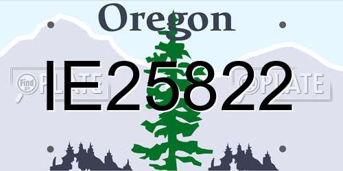 IE25822 Oregon License Plate