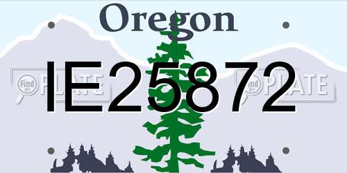 IE25872 Oregon License Plate
