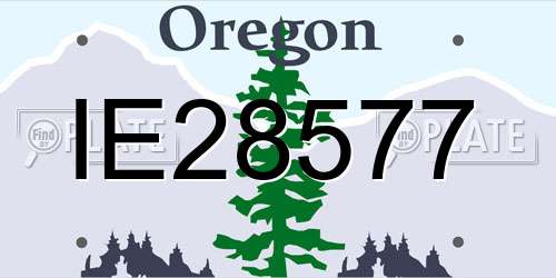 IE28577 Oregon License Plate