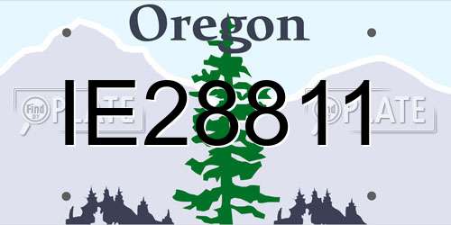 IE28811 Oregon License Plate
