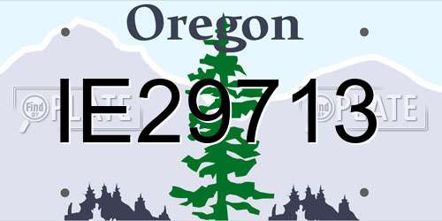 IE29713 Oregon License Plate