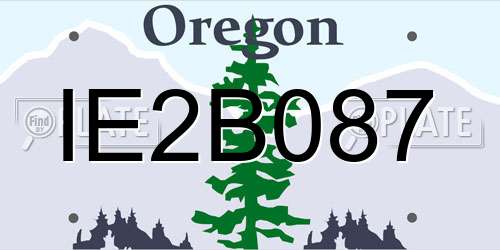 IE2B087 Oregon License Plate