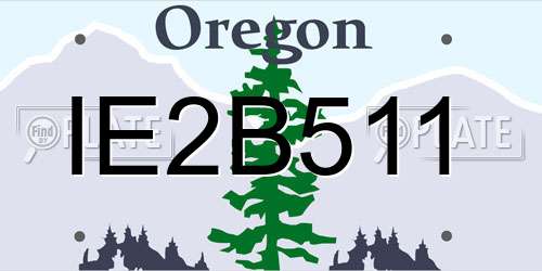 IE2B511 Oregon License Plate