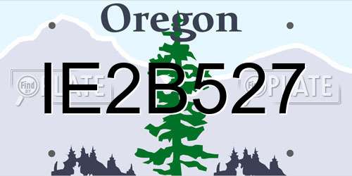 IE2B527 Oregon License Plate