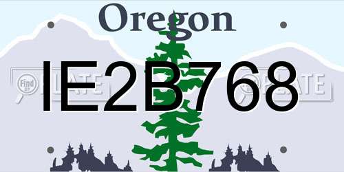 IE2B768 Oregon License Plate