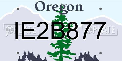 IE2B877 Oregon License Plate