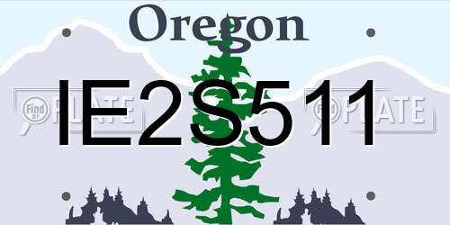 IE2S511 Oregon License Plate