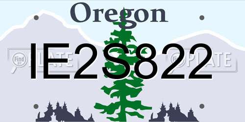 IE2S822 Oregon License Plate