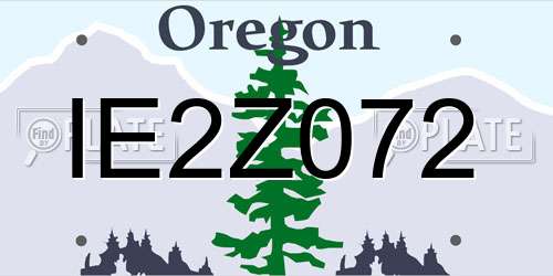 IE2Z072 Oregon License Plate