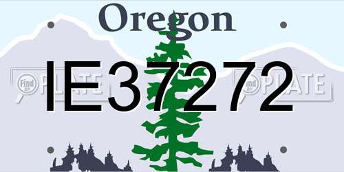IE37272 Oregon License Plate