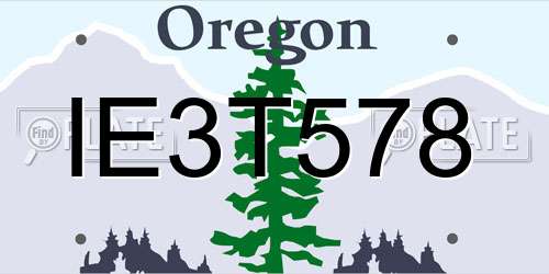 IE3T578 Oregon License Plate