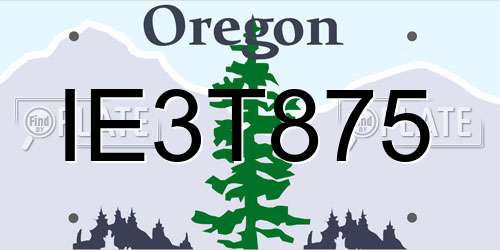 IE3T875 Oregon License Plate