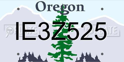 IE3Z525 Oregon License Plate