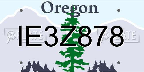 IE3Z878 Oregon License Plate
