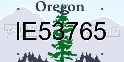 IE53765 Oregon License Plate