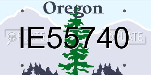 IE55740 Oregon License Plate